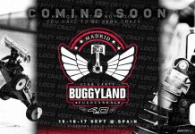 Cartel Buggyland 4